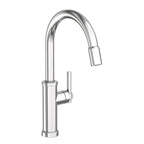 Newport Brass Seager 3180-5113 — vista de producto — Cromo Pulido