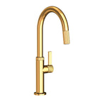 Newport Brass Pardees 3230-5143 — vista de producto — Oro Pulido (PVD)
