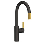 Newport Brass Muncy 3290-5113 — vista de producto — Flat Black x Satin Brass - PVD