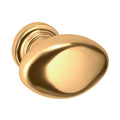 Baldwin Hardware Oval Perilla de Gabinete 1.125X0.75" Dia 4910 — Latón pulido Lifetime (PVD)