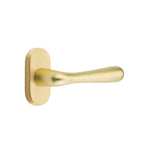 Latón Satinado · 1-1/2" x3" Oval Rosette