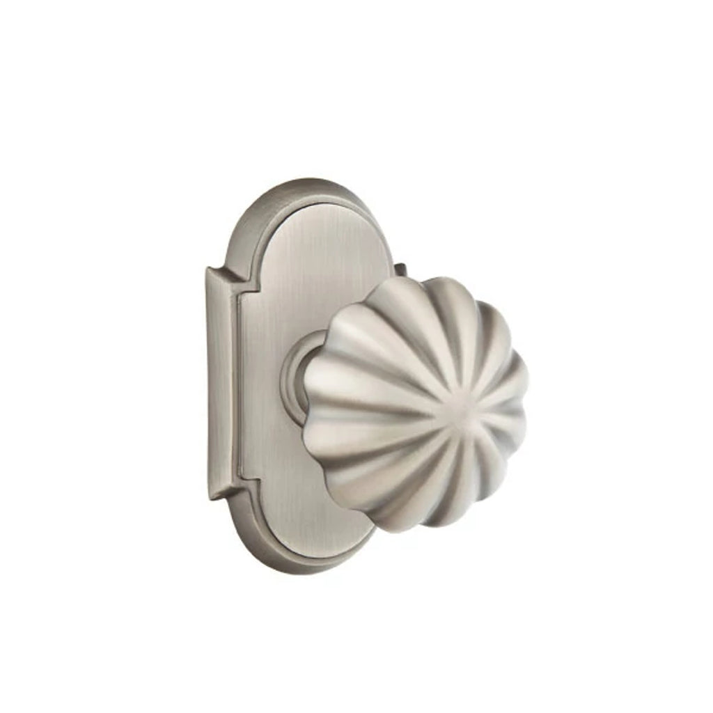 Peltre · #8 Rosette