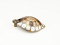 Schaub Jaladera Nature Turtle Pendant Mother Pearl Tiger Penshell, 2-3/8" — Estándar