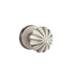 Peltre · Watford Rosette