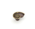 Schaub Perilla Nature Sea Shell Left Hand, 1-1/2" diám. — Bronce Oscuro