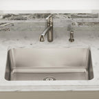 Elkay Tarja Lustertone® Classic Acero Inoxidable 30-1/2" x 18-1/2" x 11-1/2" de Un Tazón Bajo Cubierta — ambiente de cocina