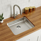 Elkay Tarja Lustertone® Classic Acero Inoxidable 21-1/2" x 18-1/2" x 4-3/8" de Un Tazón ADA Bajo Cubierta — ambiente de cocina