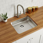 Elkay Tarja Lustertone® Classic Acero Inoxidable 21-1/2" x 18-1/2" x 4-7/8" de Un Tazón ADA Bajo Cubierta — ambiente de cocina