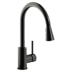 Elkay Avado Grifo de Cocina Extraíble — Acero Negro