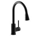 Elkay Avado Grifo de Cocina Extraíble — Negro Mate