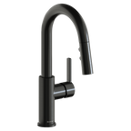 Elkay Avado Grifo para Bar y Prep — Acero Negro