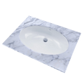 Lavabo TOTO Bajocubierta