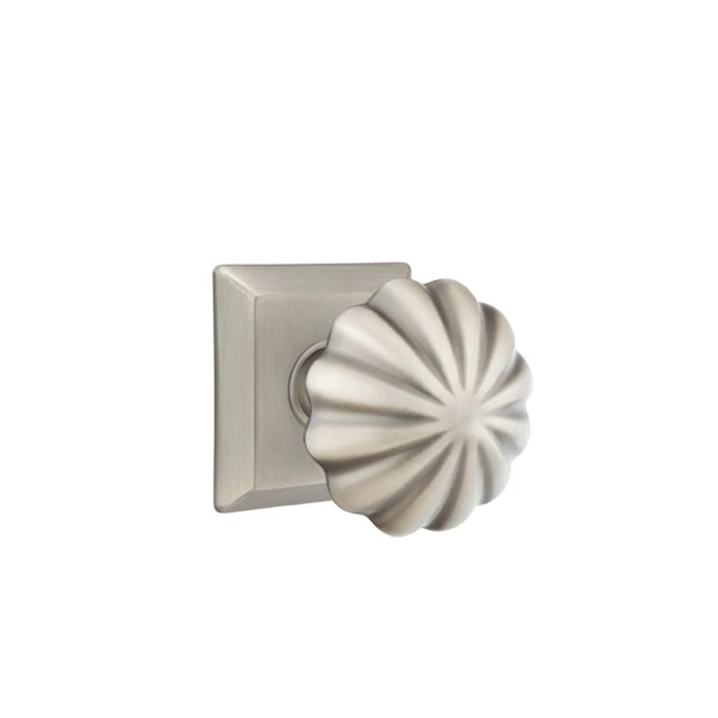 Peltre · Quincy Rosette