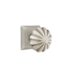Peltre · Quincy Rosette