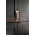 Modern Cabinet Pull Backplate