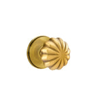 Francés Antiguo · Watford Rosette