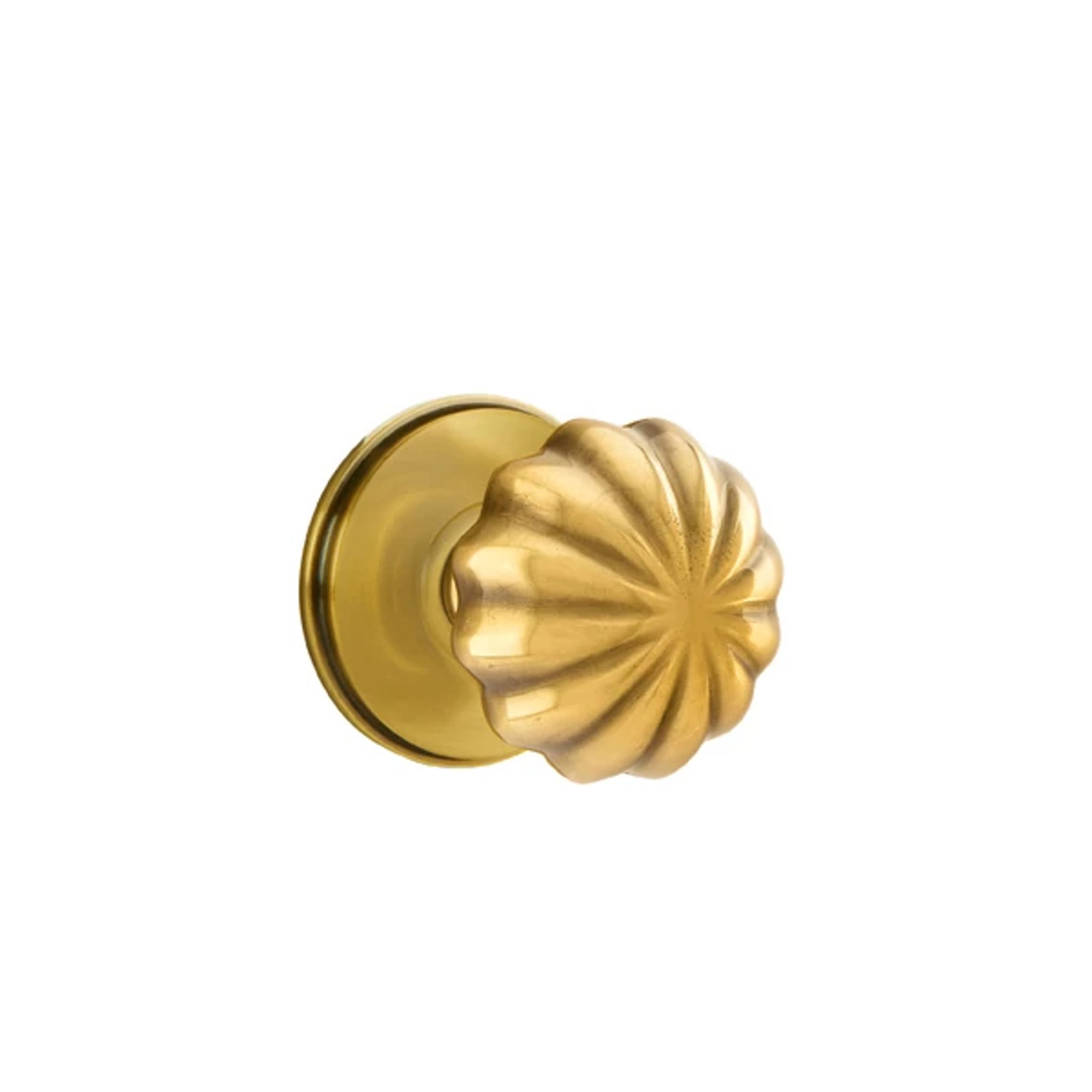 Francés Antiguo · Watford Rosette
