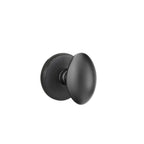 Negro Mate · Watford Rosette