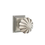 Peltre · Wilshire Rosette