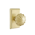 Latón Satinado · Rectangular Rosette