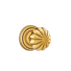 Francés Antiguo · Regular Rosette