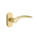Latón Satinado · 1-1/2" x3" Oval Rosette