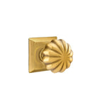 Francés Antiguo · Quincy Rosette