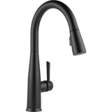 Delta Essa™ Single Handle Pull-down Kitchen Faucet With Touch2O