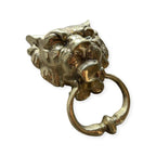 toca la puerta laton lion