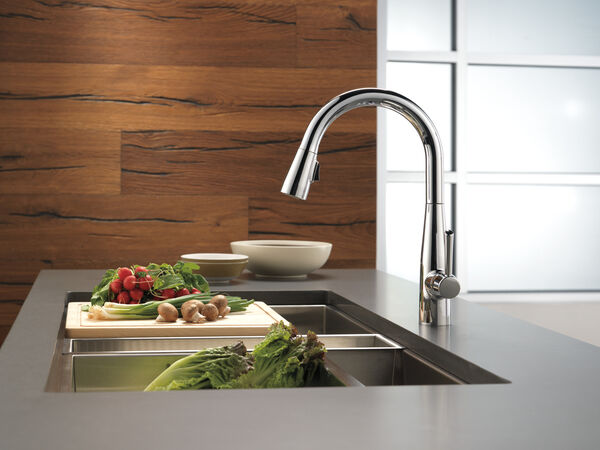 Delta Essa™ Grifo con monomando Con Tubo De Salida Deslizable Para Cocina